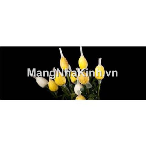 Lưới Nhật Việt ( lưới lồng bông, chụp bông, chụp hoa, bao hoa) 